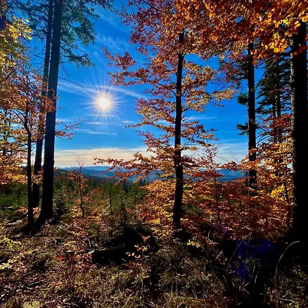 Vip Szyndzielnia Apartmán