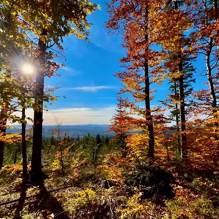 Apartmán Vip Szyndzielnia