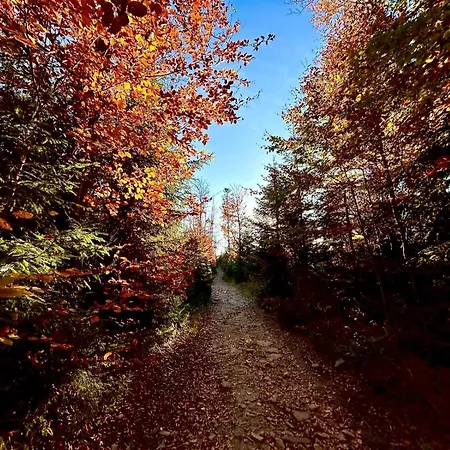 Apartmán Vip Szyndzielnia *