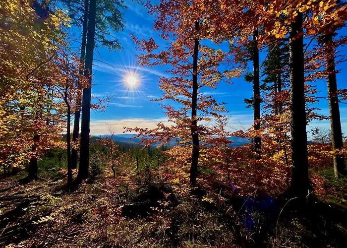 Vip Szyndzielnia Apartmán