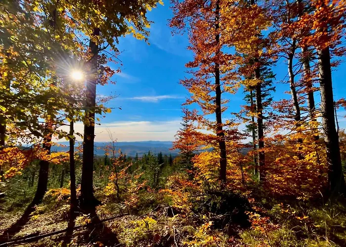 Apartmán Vip Szyndzielnia
