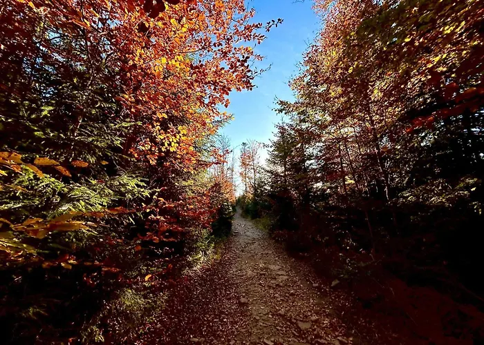 Apartmán Vip Szyndzielnia *